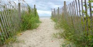 Myrtle Beach Photographers love the dunes here at the beach. Imagine your family, senior, or bride walking into this beach access for a snapshot!