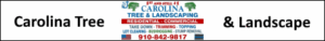 Tree Removal and trimming and landscaping in Shallotte, Supply, Brunswick County, NC by Carolina Tree and Landscape 910-842-9817